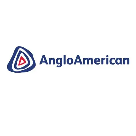 Anglo American Platinum Logo